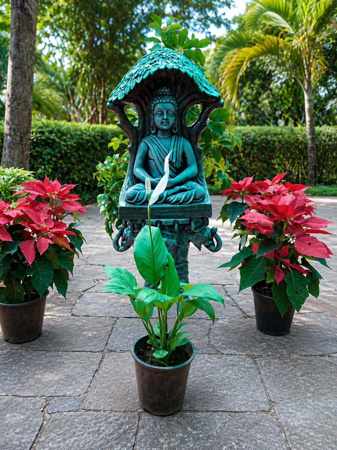 Buddha and indoor plant arrangement