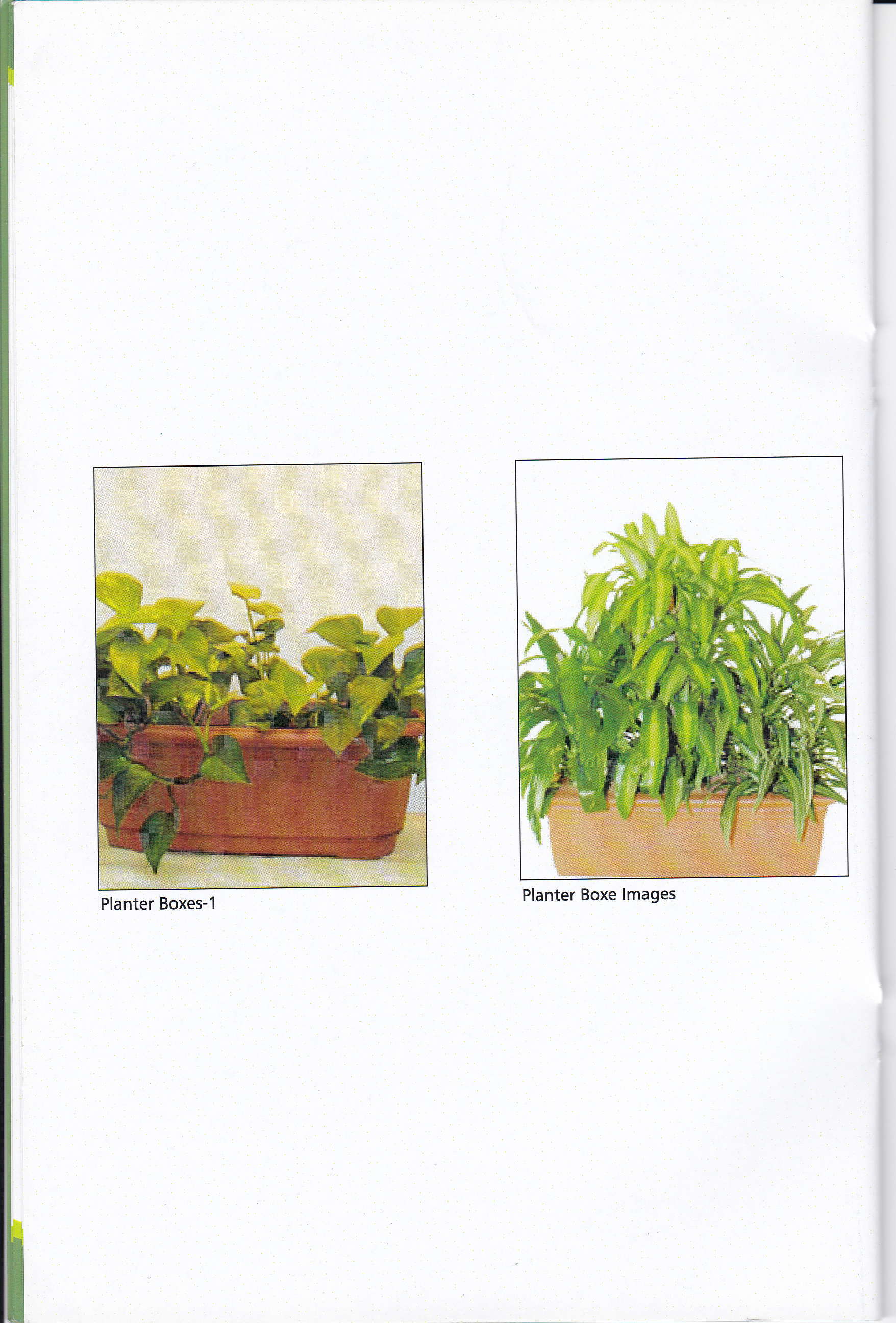 Planter box grouping
