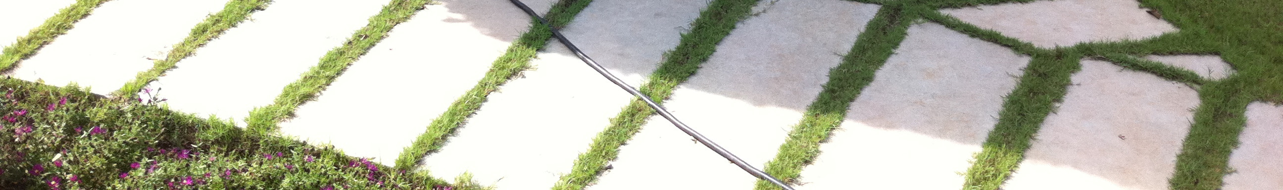 Landscape path