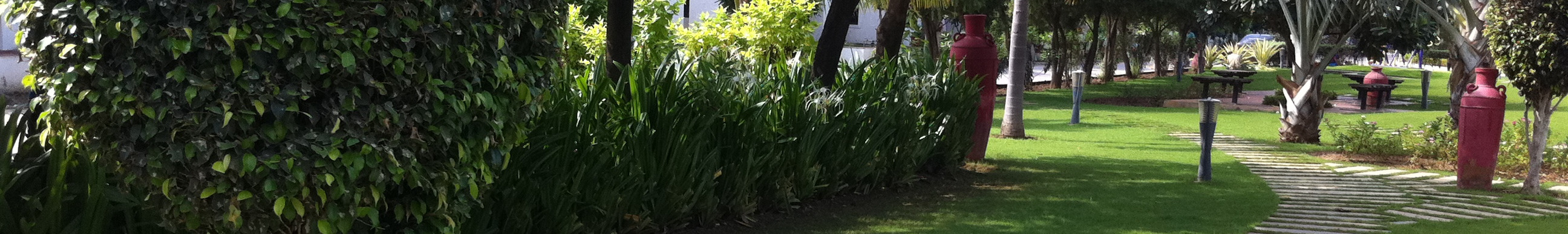 Garden landscape