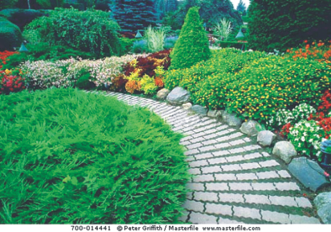 Garden design